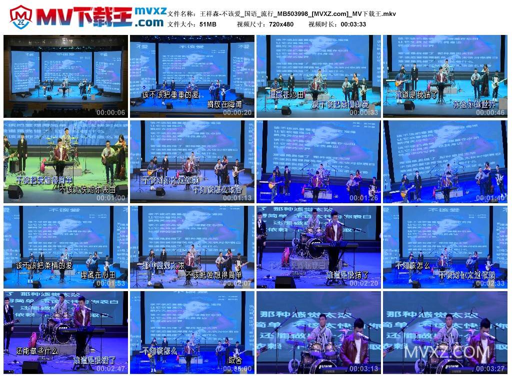 王祥森-不该爱_国语_流行_MB503998